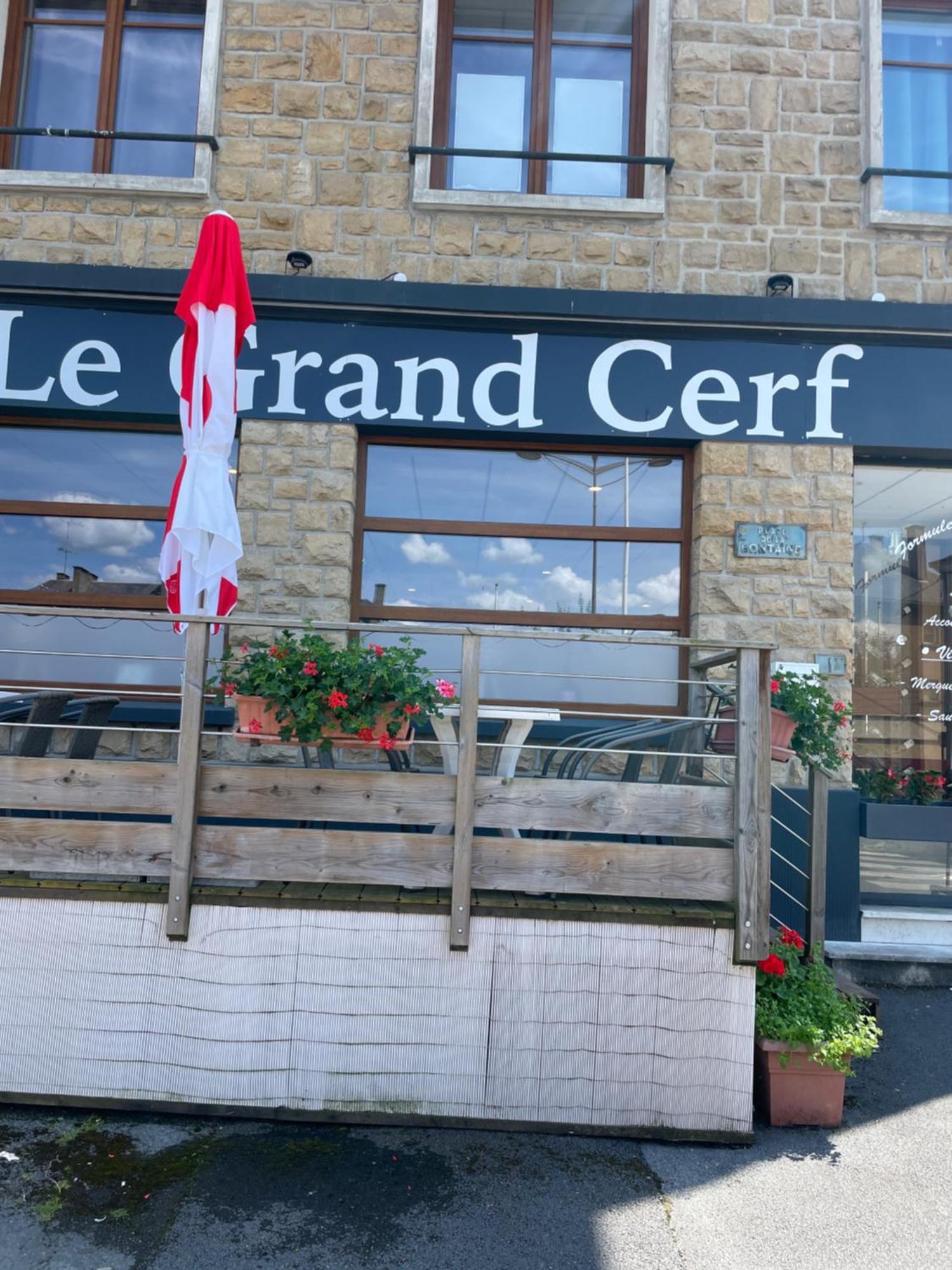 ホテル Le Grand Cerf Carignan エクステリア 写真